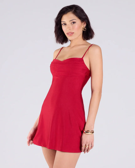 Windsor Sleek Sophistication A-Line Pleated Mini Dress