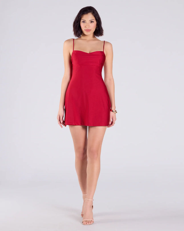Windsor Sleek Sophistication A-Line Pleated Mini Dress