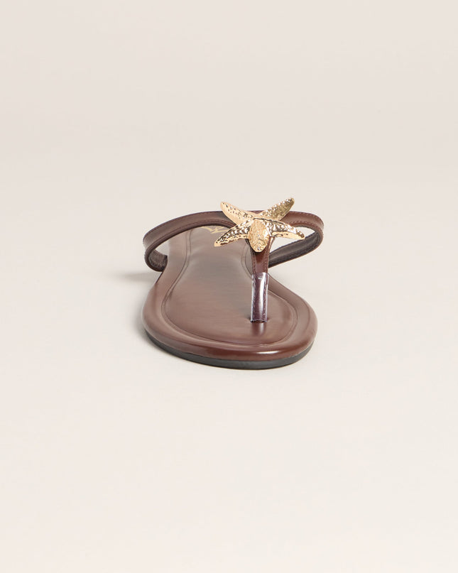 Windsor Poolside Ready Starfish Strap Flat Sandals